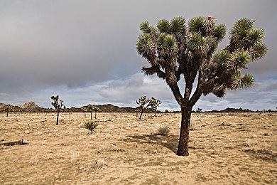 《任天堂明星大乱斗》发布13.0.1版更新 调整游戏平衡性