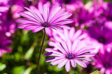 猛男突袭北京，难道是有新任务？